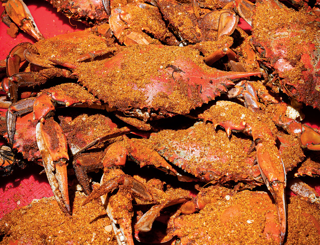 Crabs at The Point. Photograph by Scott Suchman.