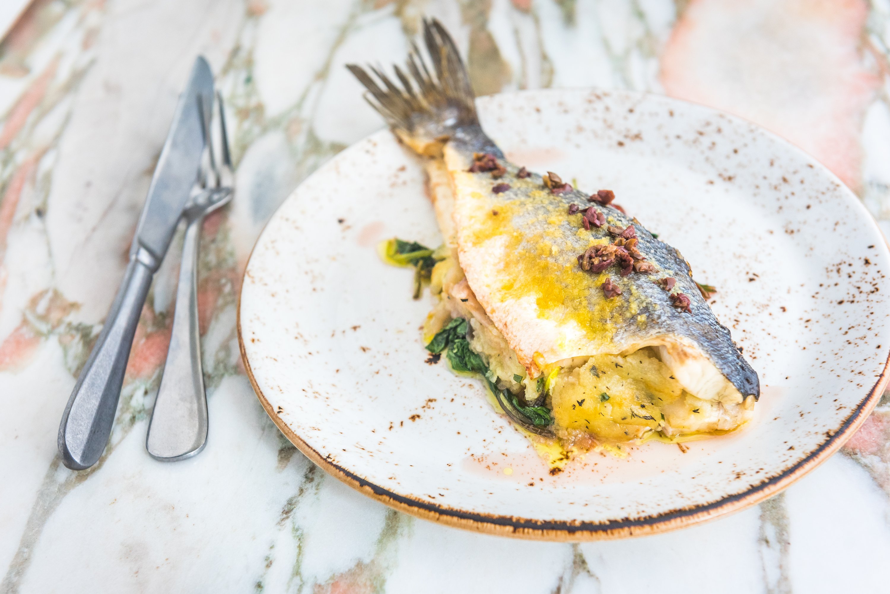 SL_BRANZINO_10485_PhotoCredit_Rey Lopez - Washingtonian