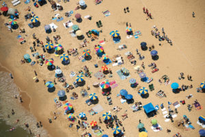 How to Get From DC to the Beach Without a Car