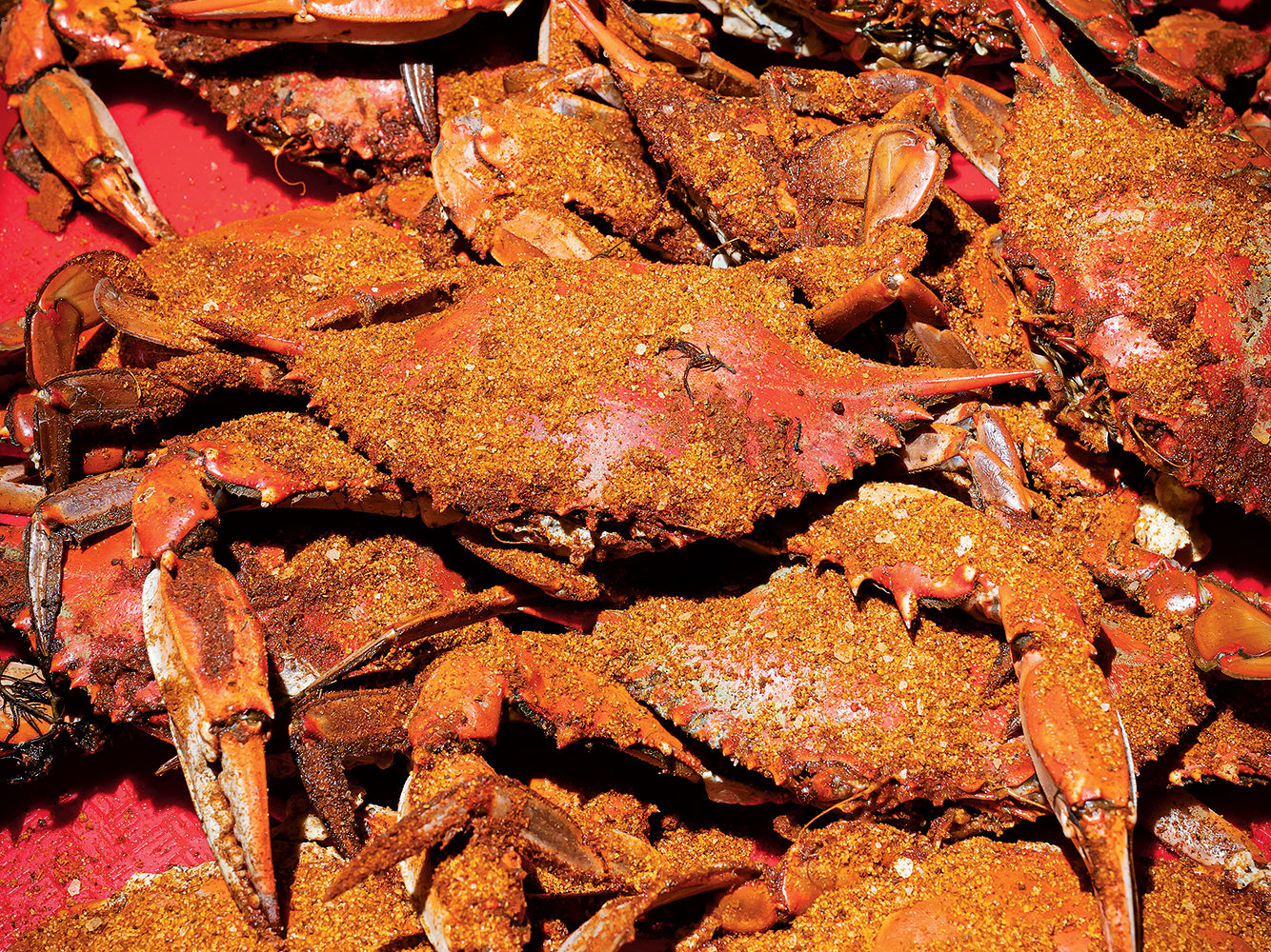 Crabs at the Point. Photograph by Scott Suchman.