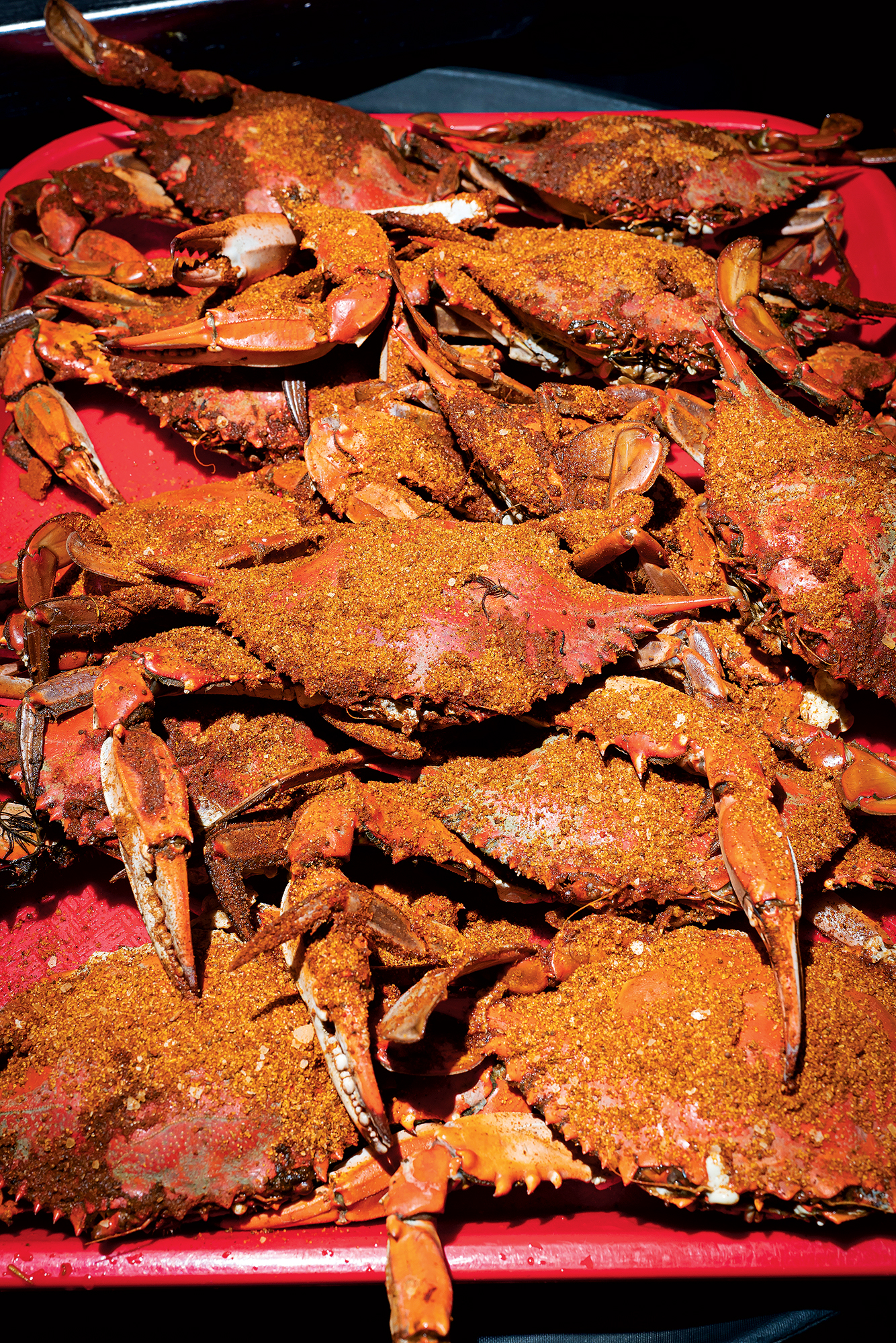 Crabs at the Point. Photograph by Scott Suchman.