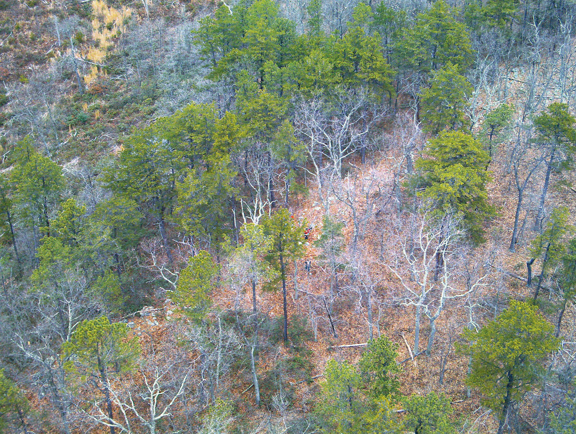 McDonnell spent a frigid night in the forest before the search-and-rescue drone from the Loudoun County Sheriff’s Office—flying its first mission—found him. Here, an image from the operation. Photograph courtesy of Loudoun County Sheriff’s Office.