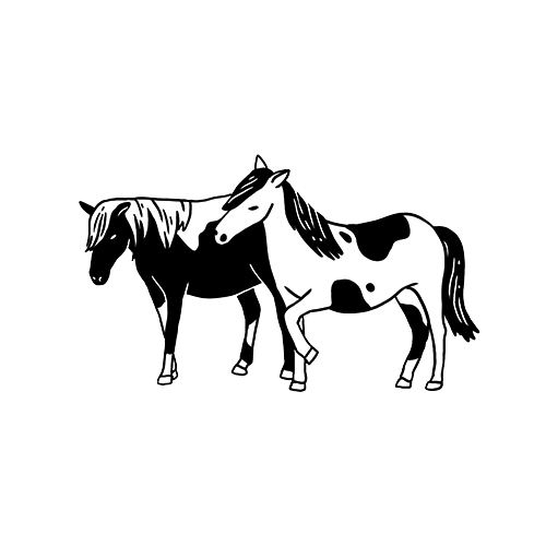 ponies1 - Washingtonian Illustration by Laurène Boglio.