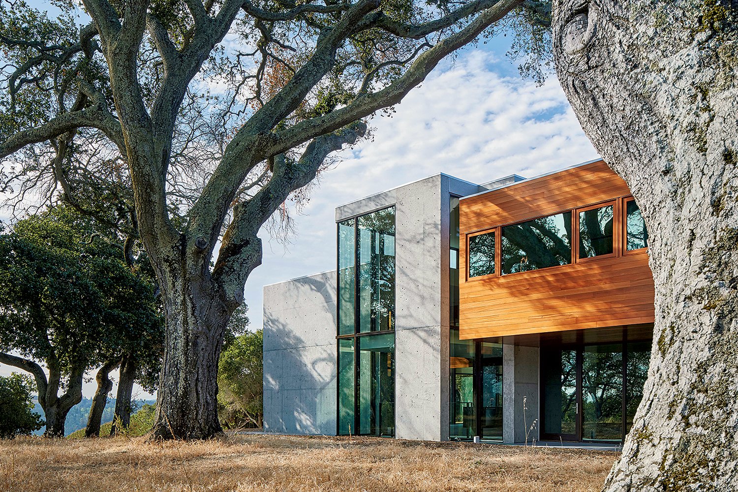 Photographs of Golden State house by Bruce Damonte.