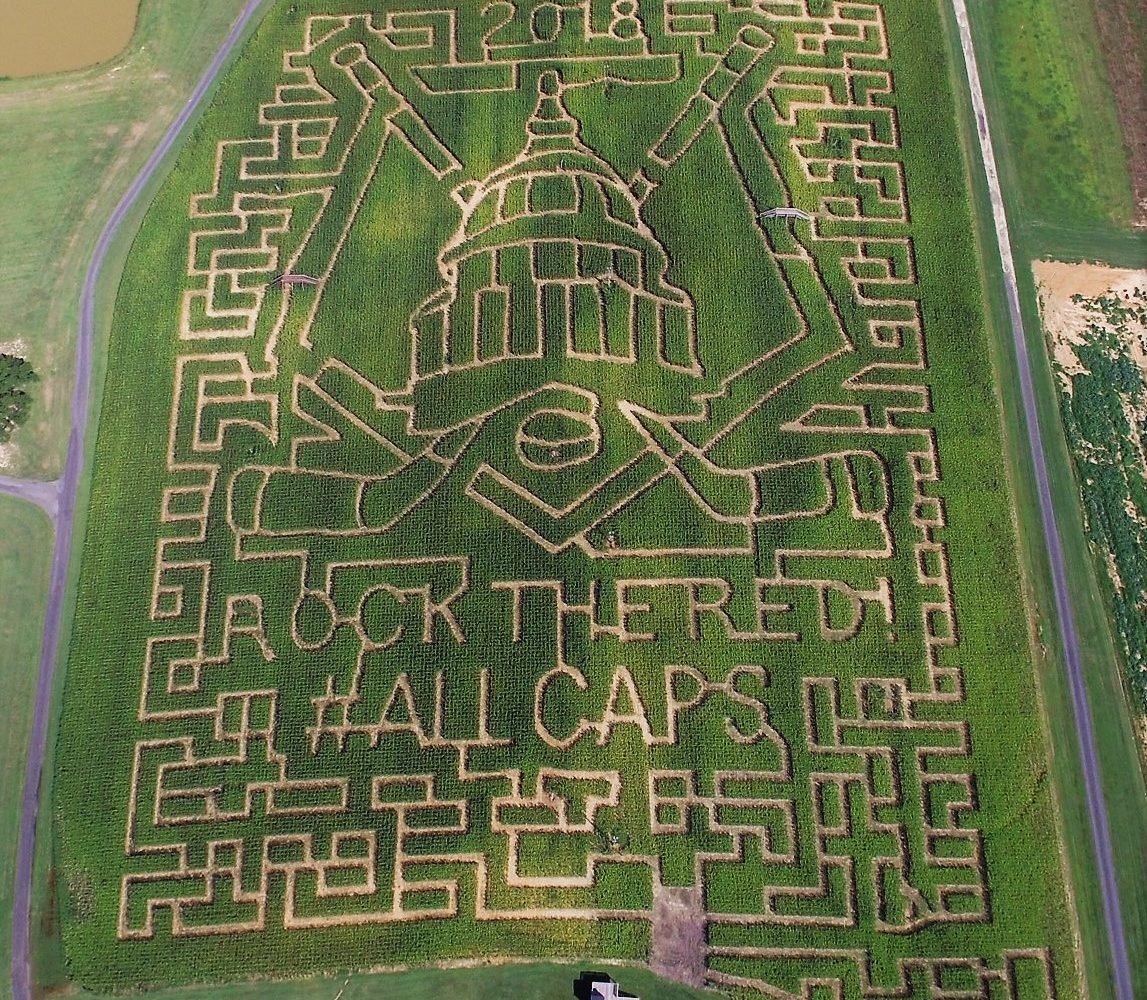 Washington Capitals Corn Maze