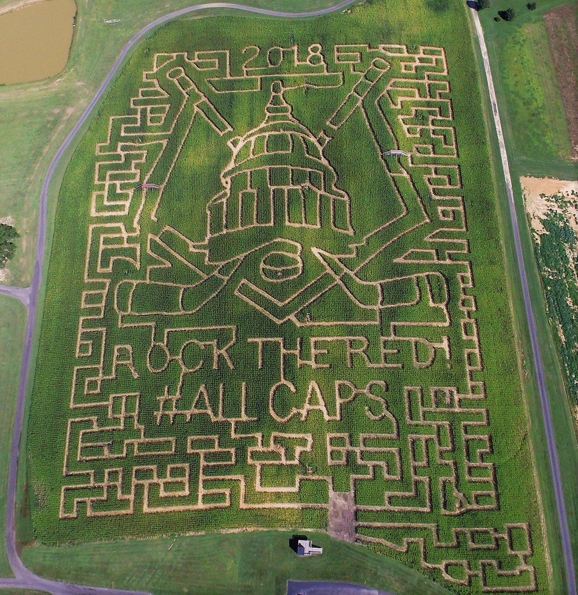 Washington Capitals Corn Maze