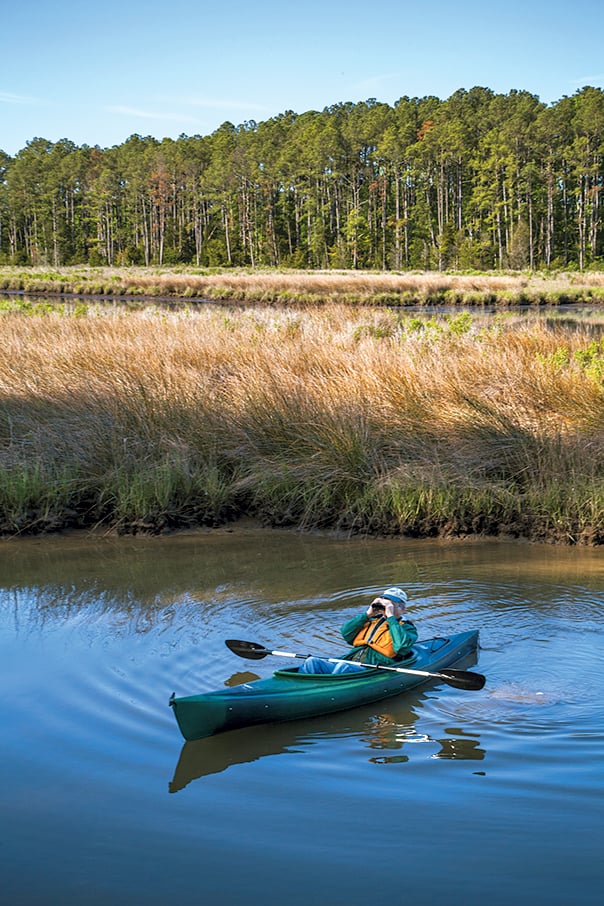 On a new sunrise kayak tour, you might catch glimpses of bald eagles and red-tailed hawks. Photograph of canoe by Virginia Tourism Corporation. 