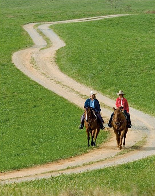 Take a ride at Marriott Ranch.