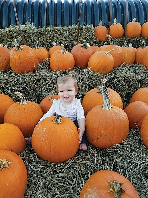 Pick your own pumpkin on the Loudoun County Farm Tour.