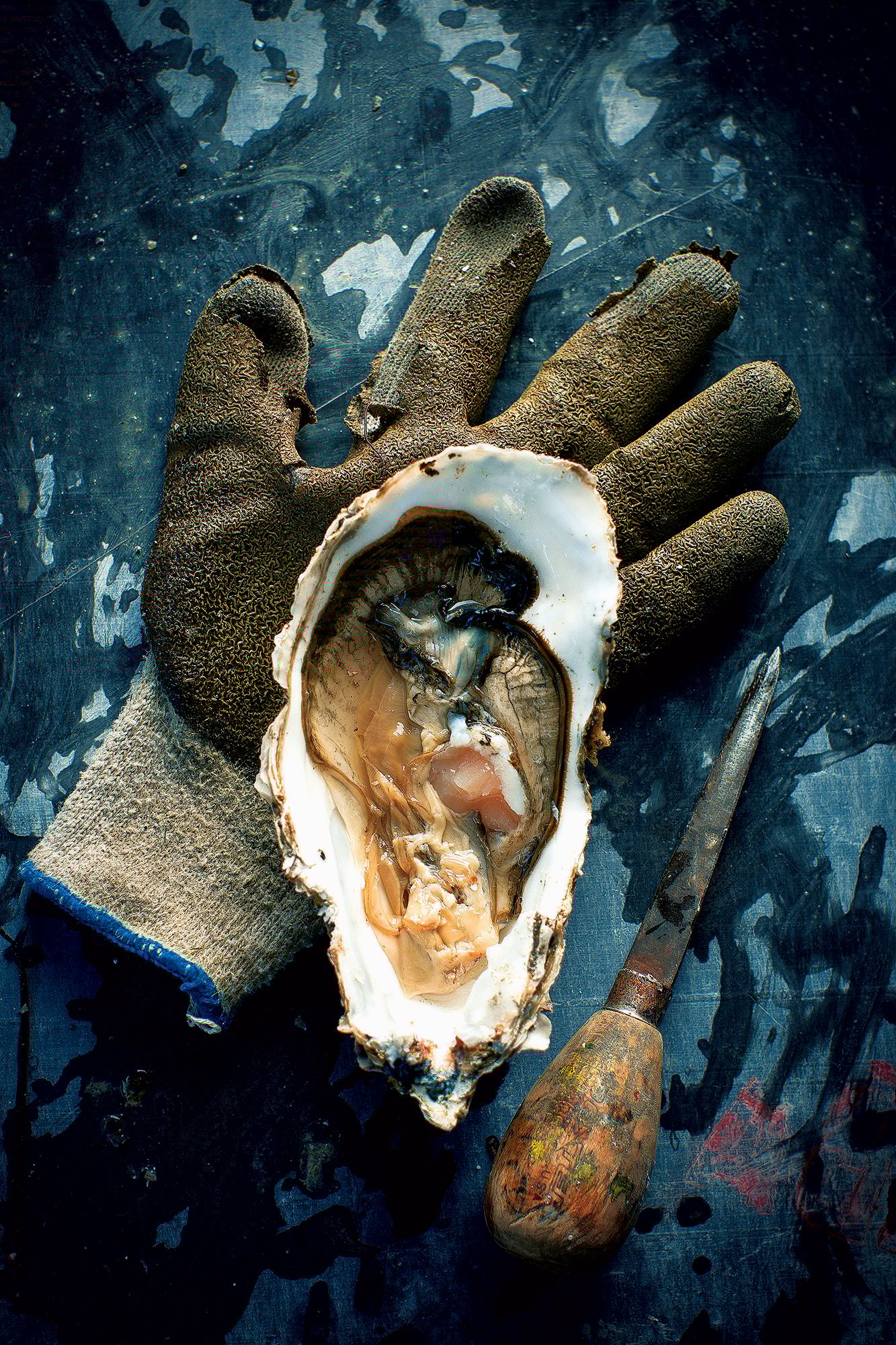 An Oyster Lover’s Guide to Northern Neck, Virginia
