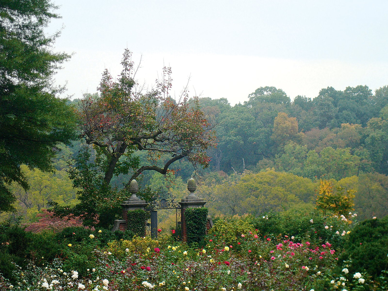 You can wander the gardens at Dumbarton Oaks year-round. Photograph Courtesy of Dumbarton Oaks.