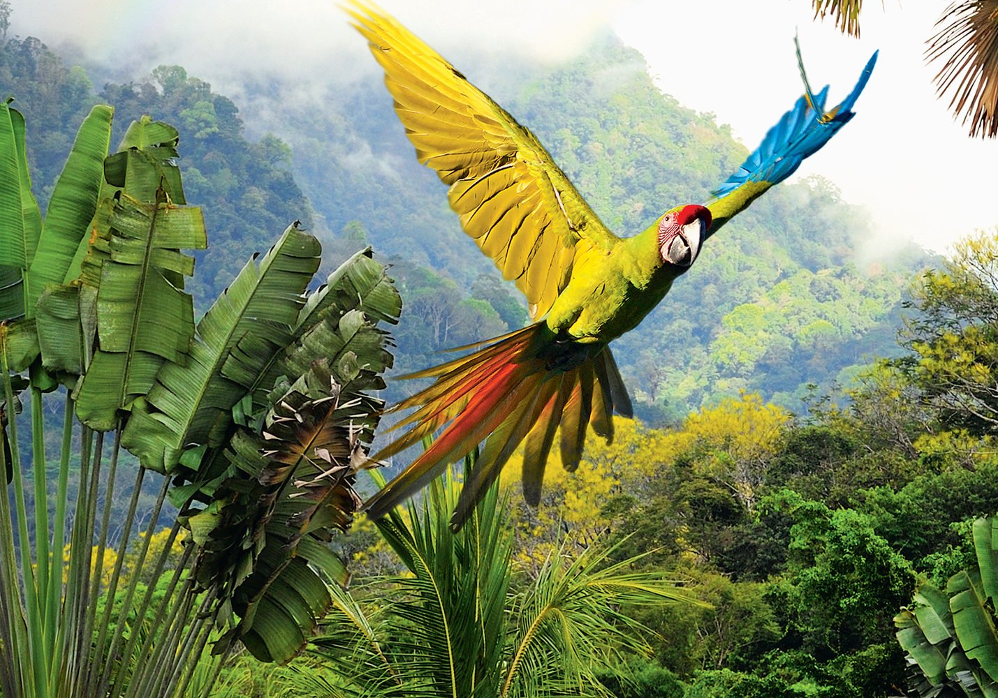 Nature is anything but reserved in Costa Rica.