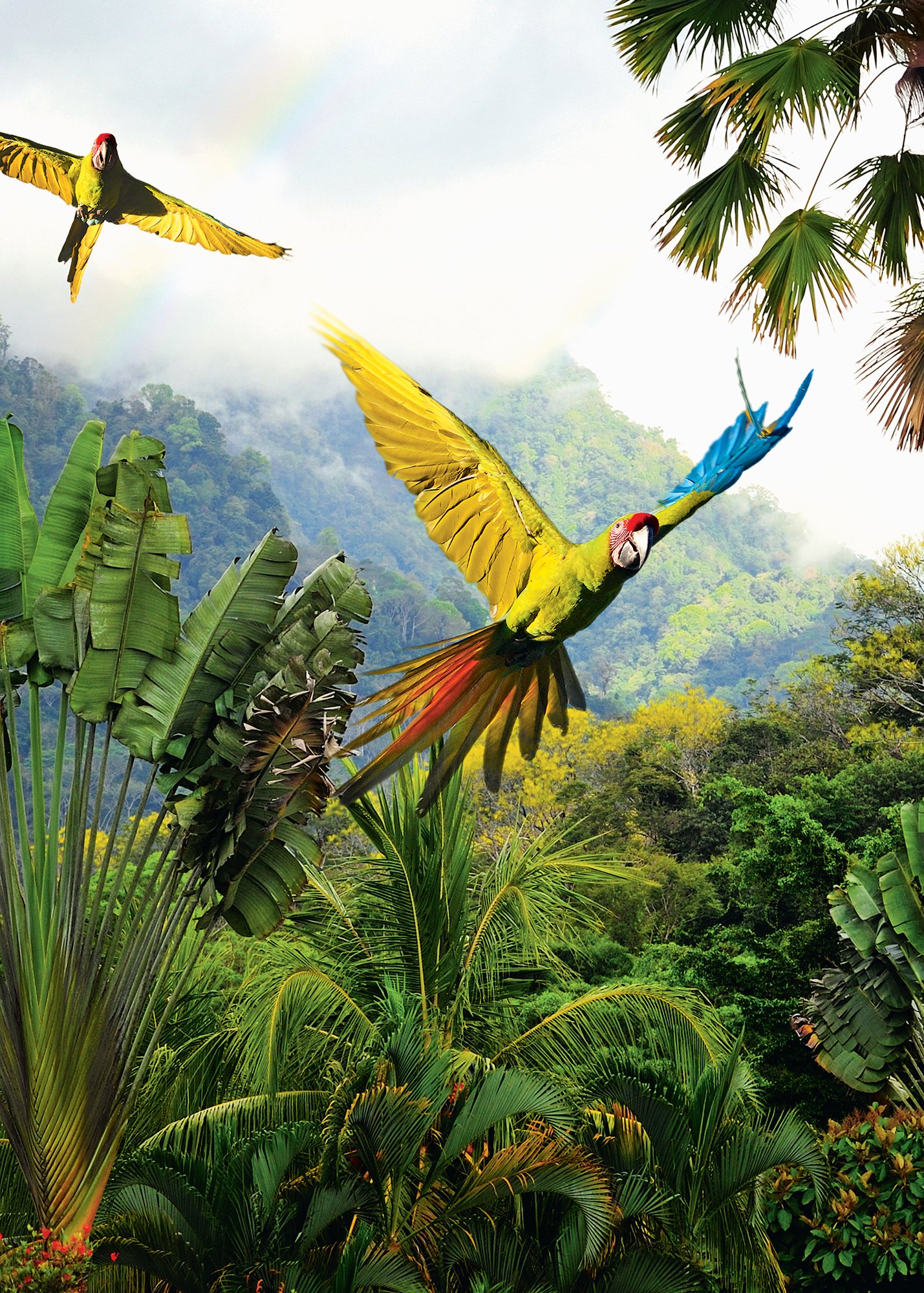 Nature is anything but reserved in Costa Rica.