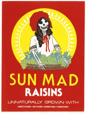 "Sun Mad" by Ester Hernandez, 1982. Photograph courtesy of SAAM. "Sun Mad" by Ester Hernandez, 1982. Photograph courtesy of SAAM.