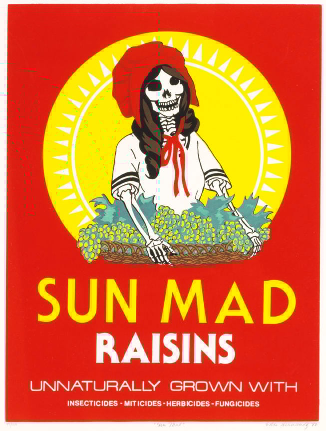 "Sun Mad" by Ester Hernandez, 1982. Photograph courtesy of SAAM. "Sun Mad" by Ester Hernandez, 1982. Photograph courtesy of SAAM.