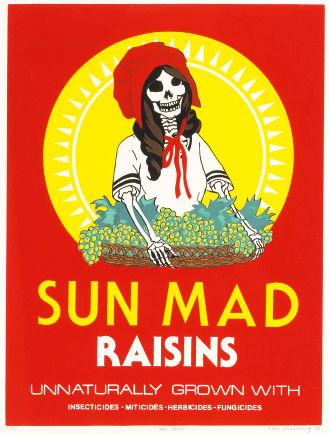 "Sun Mad" by Ester Hernandez, 1982. Photograph courtesy of SAAM.