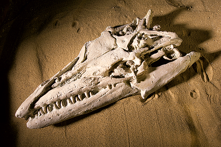 SeaMonsterWW - Washingtonian sea monster