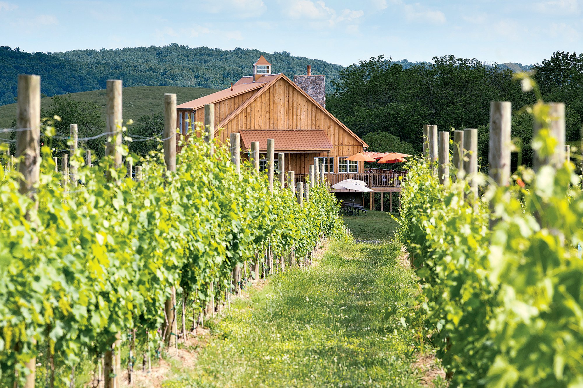 Wine Regions And Wineries Near Sydney Your Sydney Guide