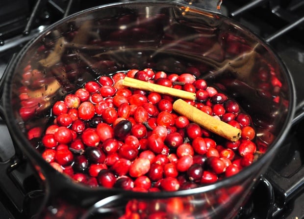Making homemade cranberry sauce. 