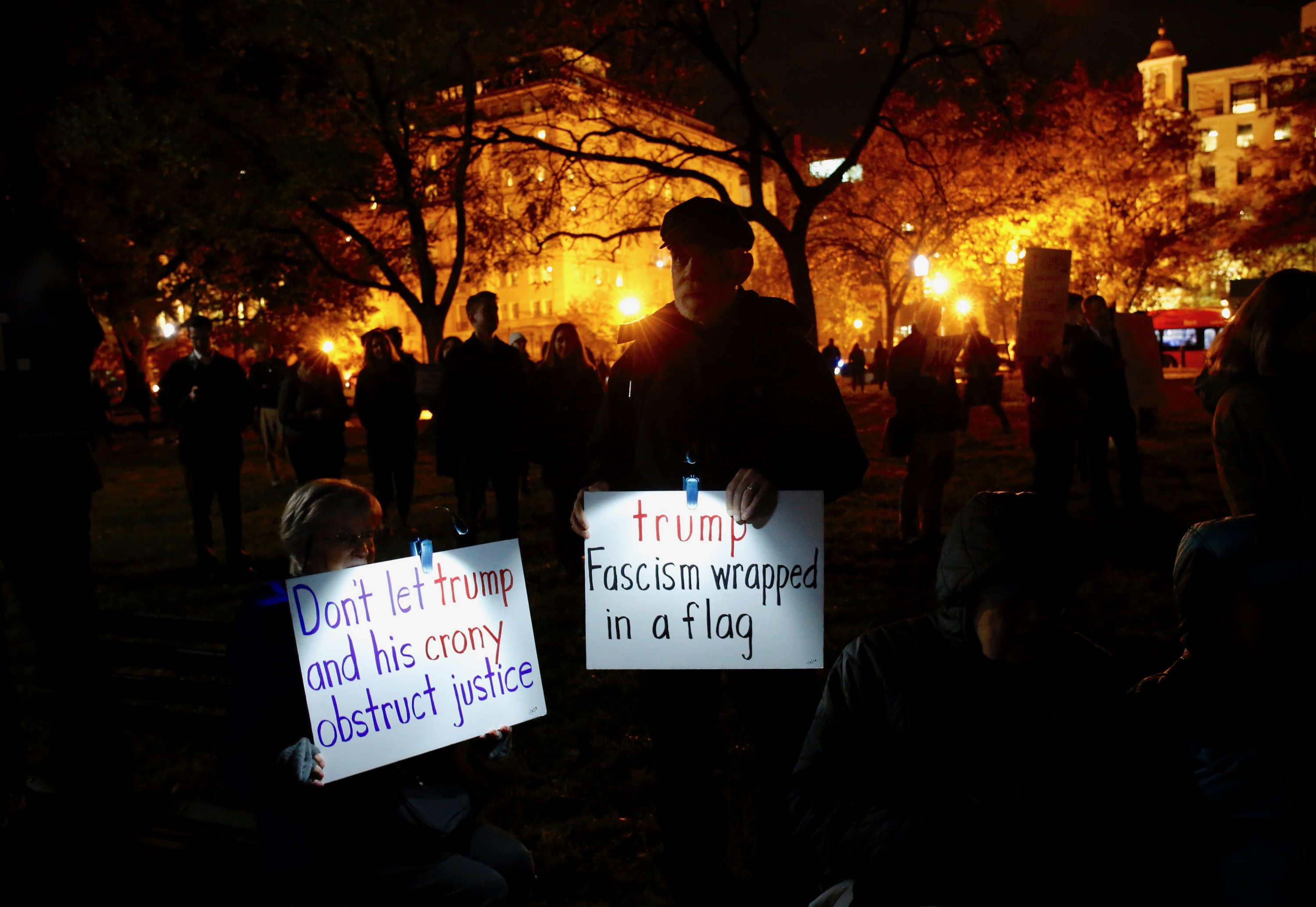 pro mueller protest dc