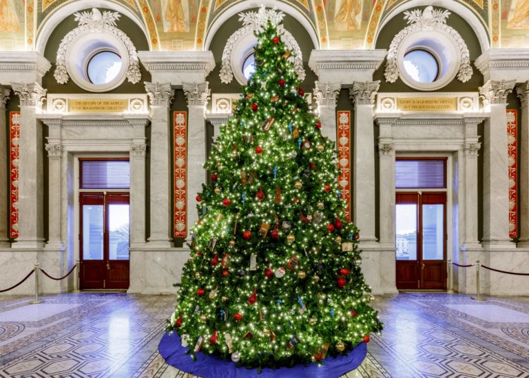 DC Christmas Trees, Ranked Washingtonian