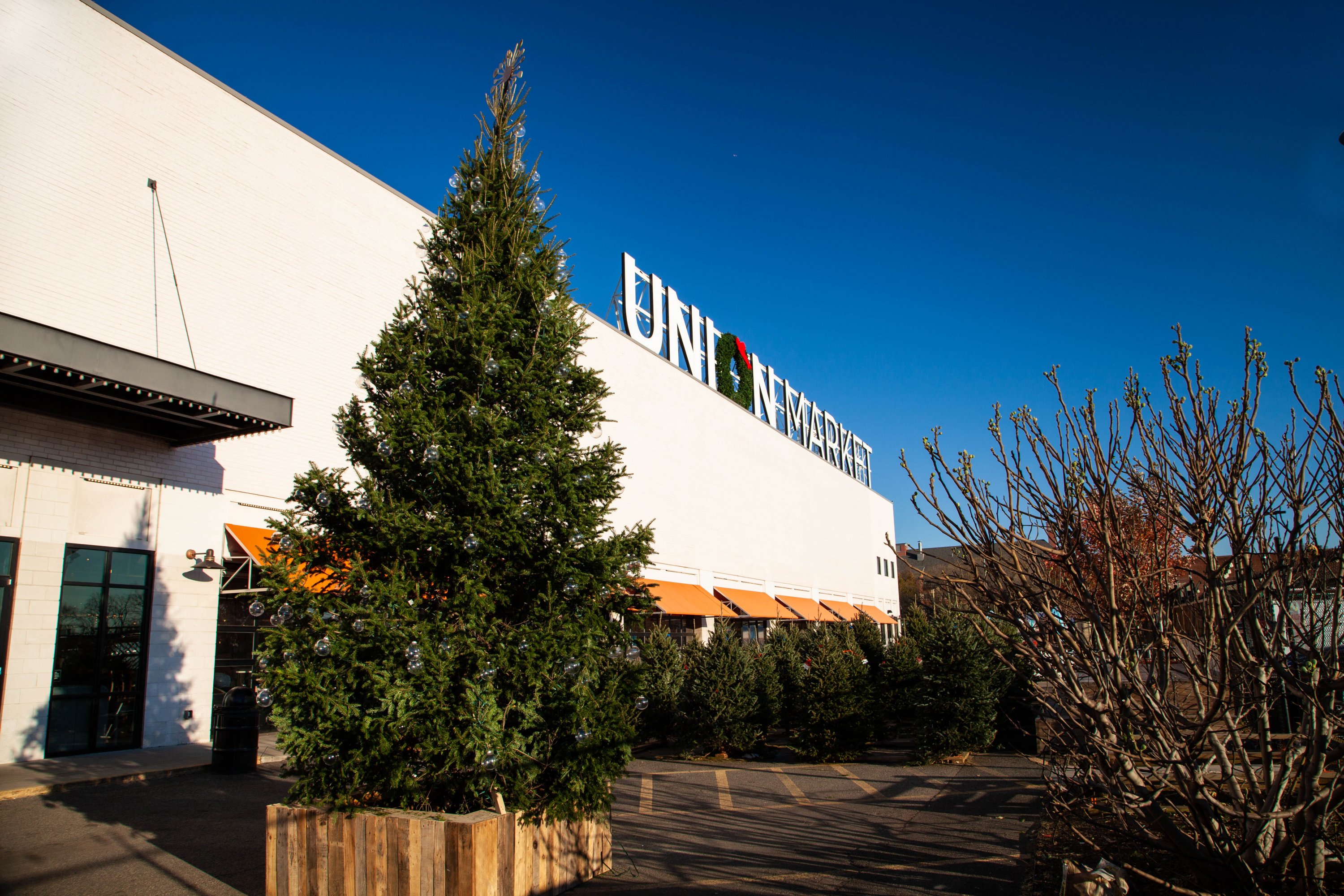 Shop for Christmas trees and seasonal items at Union Market. Photo courtesy of Union Market.