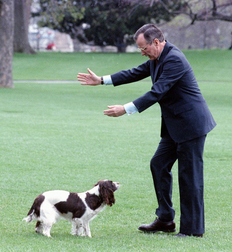Washingtonian Once Called George H.W. Bush’s Dog Ugly, and I’m Here to