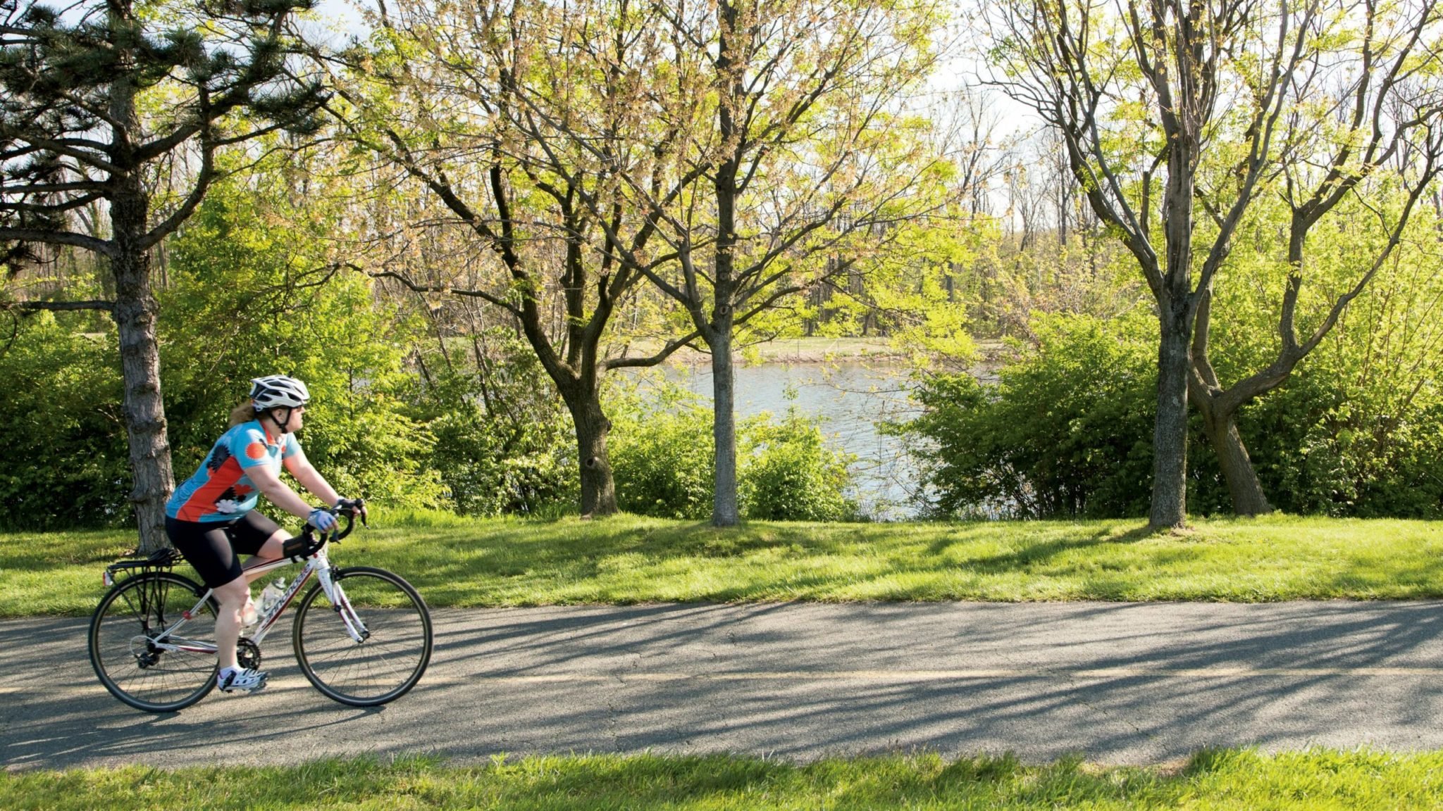 The Arlington Loop. Photograph by David R. Moss.