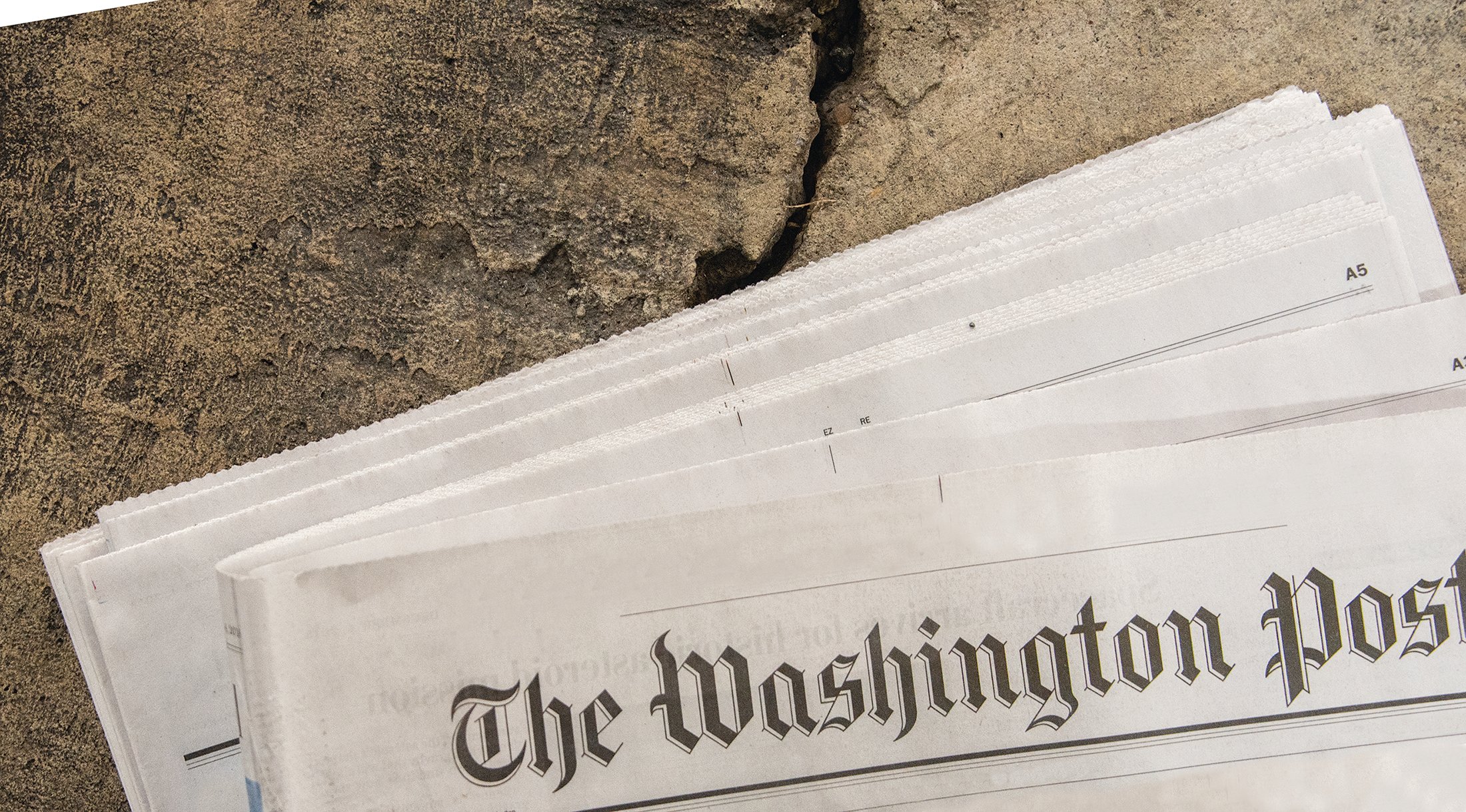 3_LJB_7717.HALF - Washingtonian