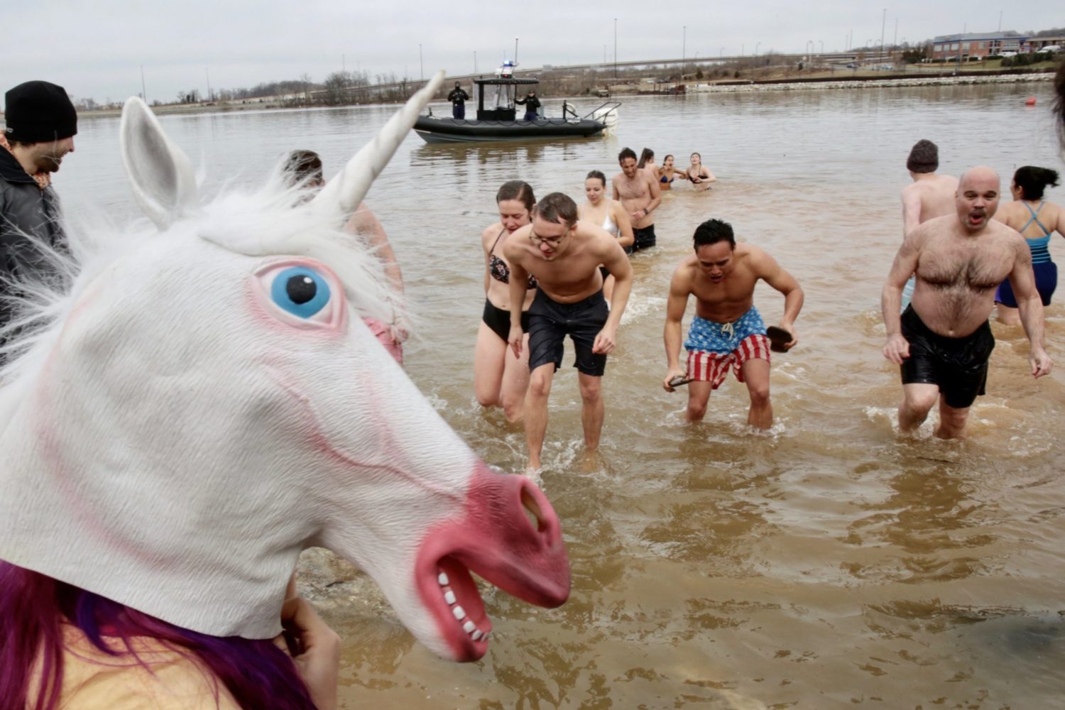 Polar Bear Plunge National Harbor