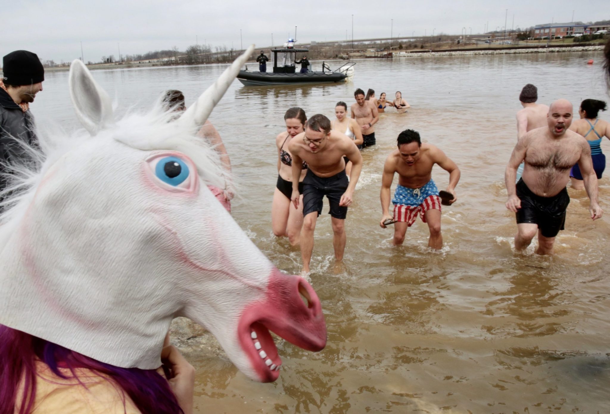 Polar Bear Plunge National Harbor