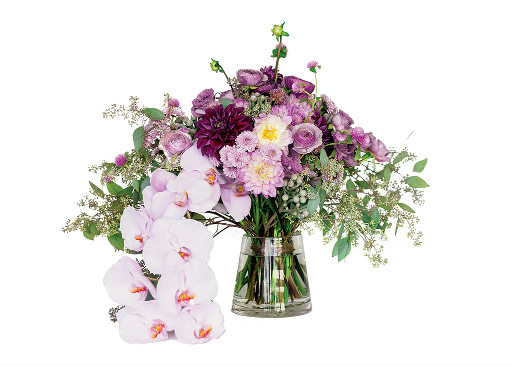 purple1 - Washingtonian