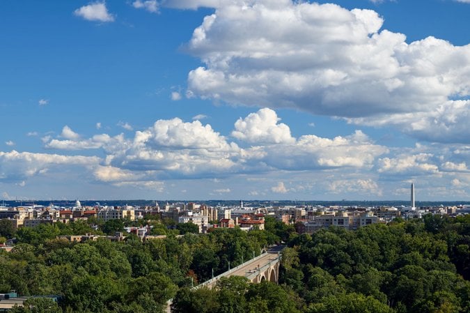 Picture10 - Washingtonian