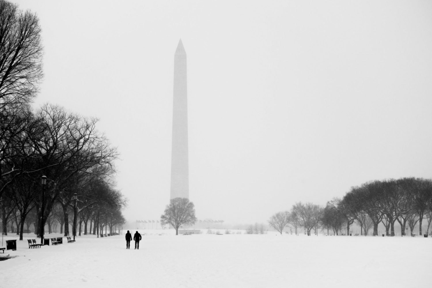 Washington, DC in snow. Photograph via iStock.