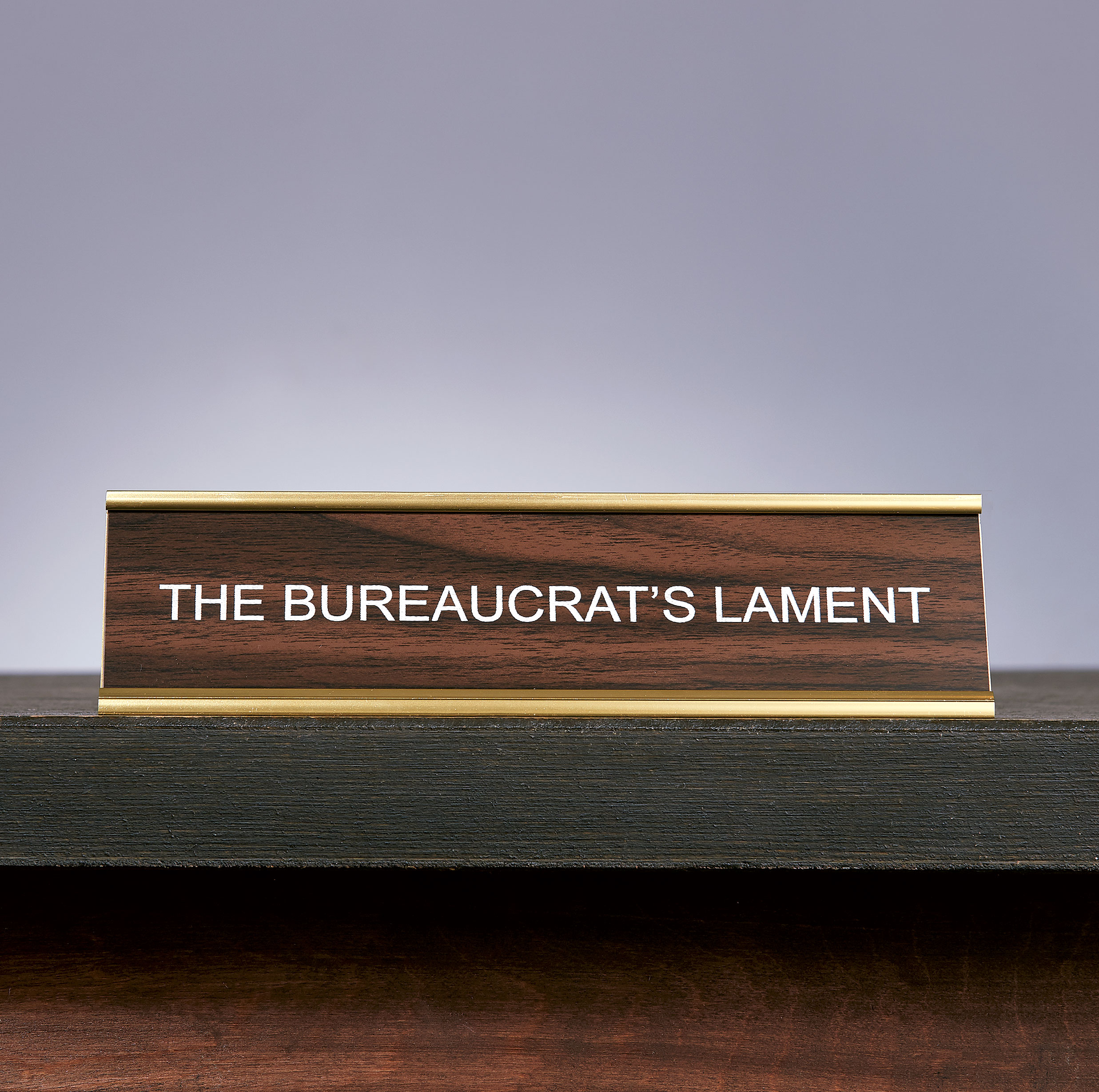 19023_Bureaucrat's_Lament_Opener_0105-1.FULL - Washingtonian
