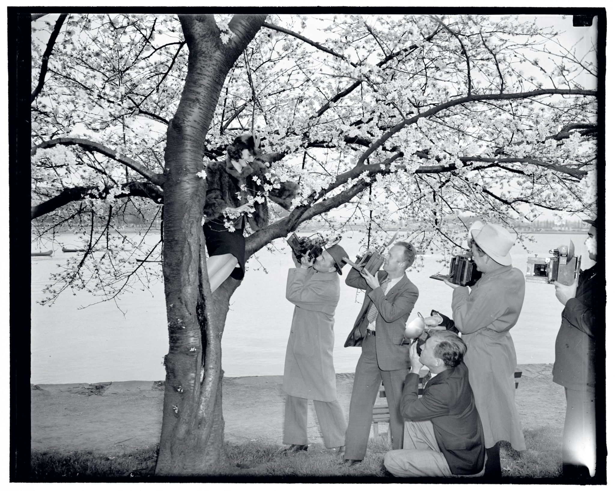 Check Out These Amazing Vintage Cherry Blossom Photos