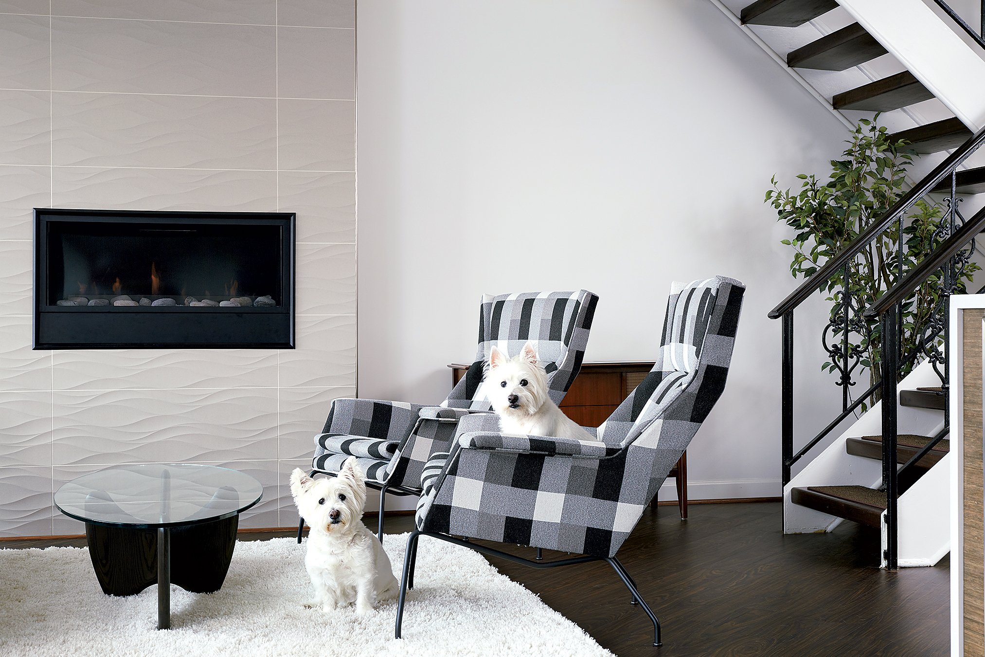 Coretec vinyl flooring—which looks like black walnut—can stand up to wear from their two West Highland terriers. Photograph by Stacy Zarin Goldberg.