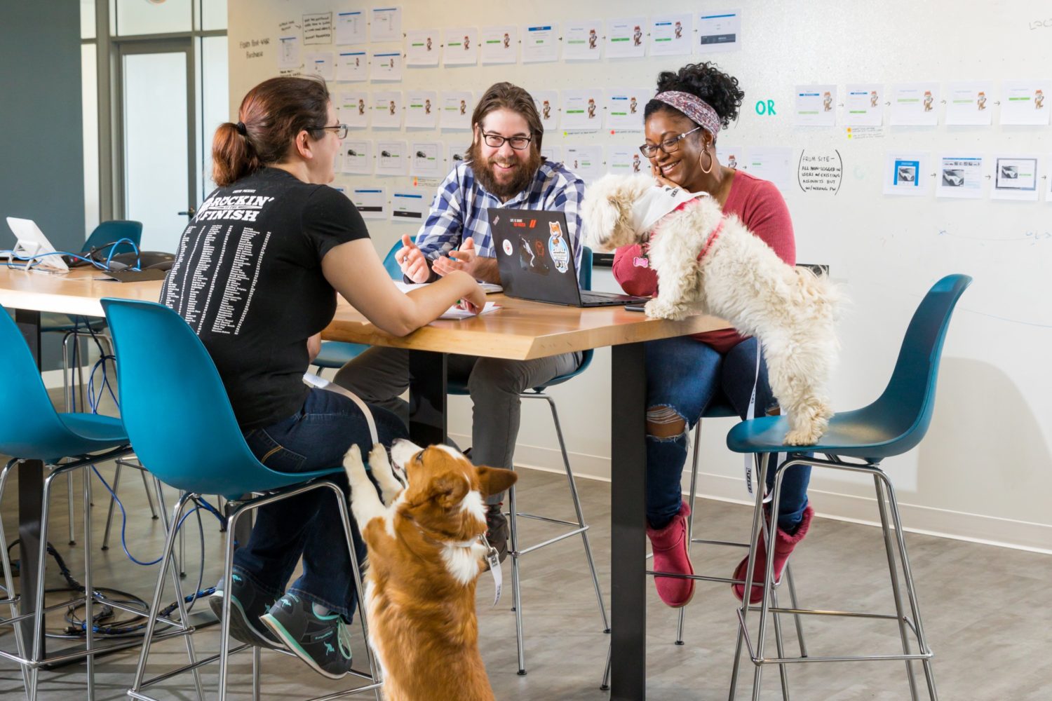 Carfax's work-hard/play-hard culture includes allowing dogs in the office. Photograph by Dan Chung.