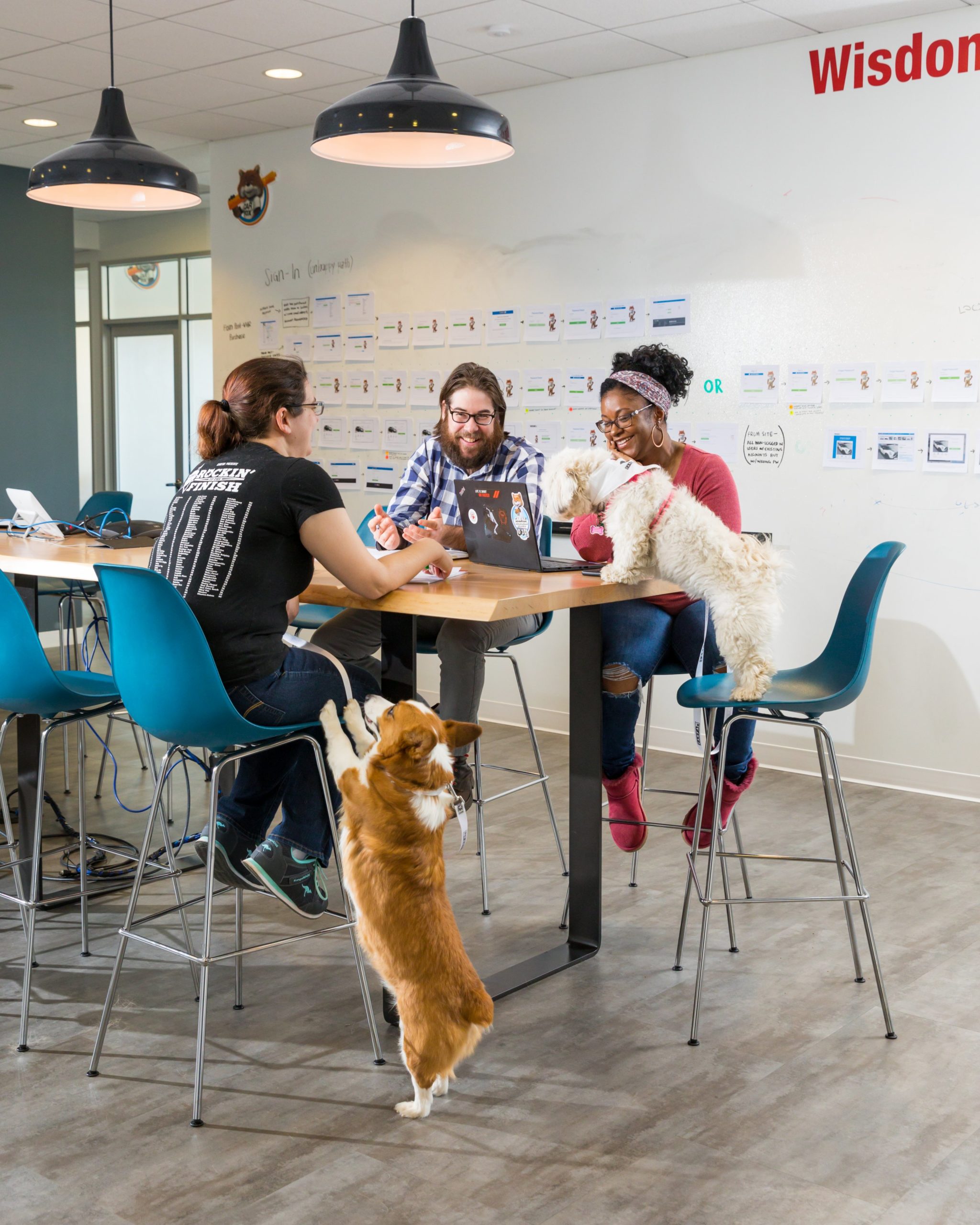 Carfax's work-hard/play-hard culture includes allowing dogs in the office. Photograph by Dan Chung.