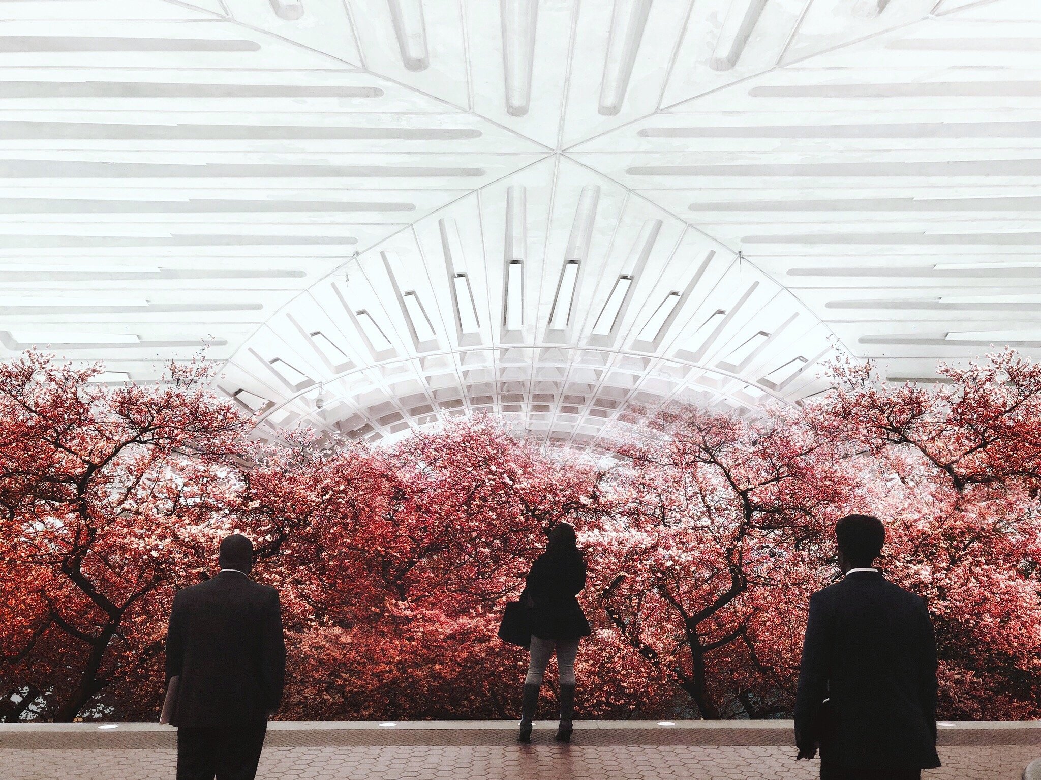 This Local Artist Transforms DC Metro Stations Into Beautiful Nature Scenes