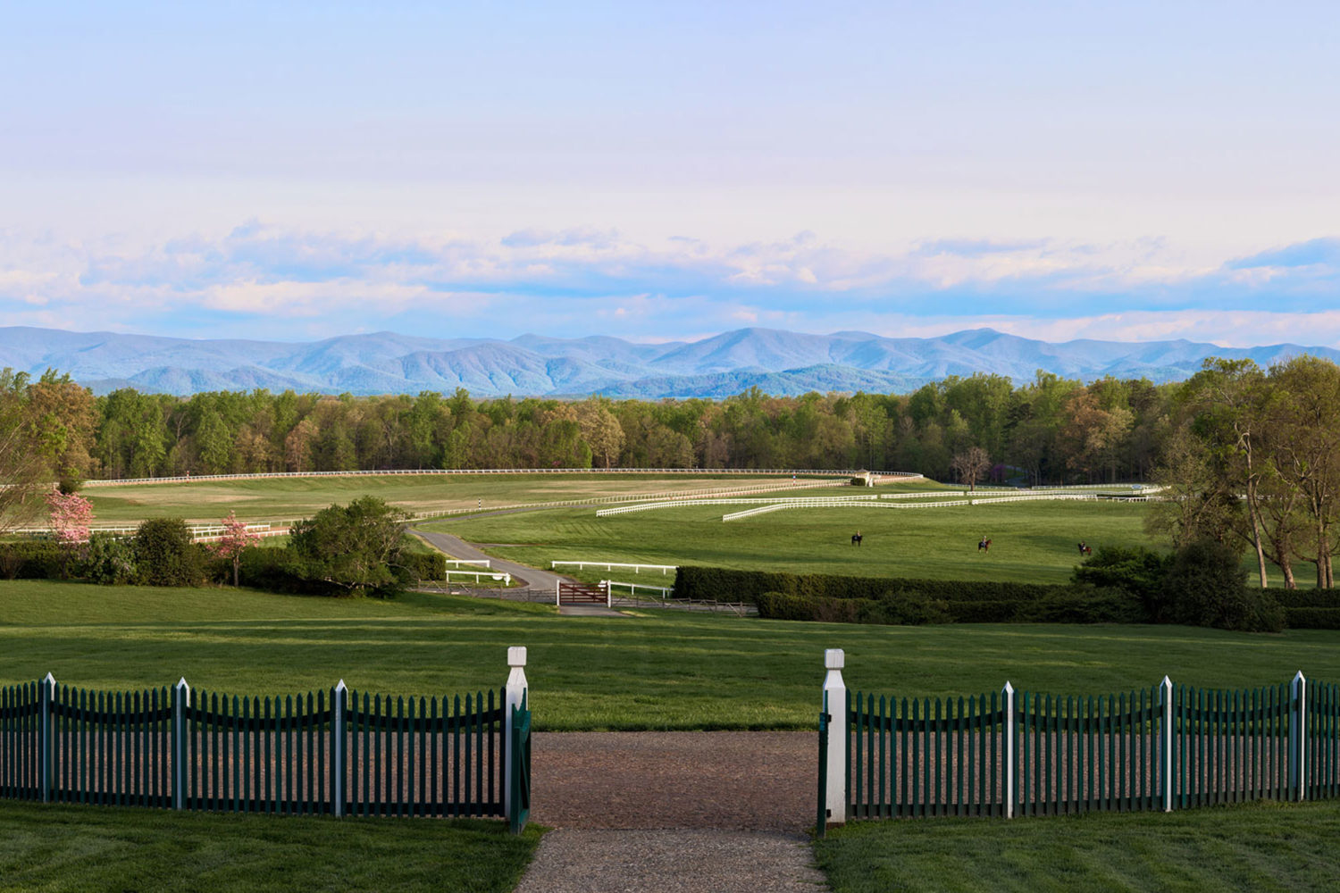 Getting closer to the past at Montpelier