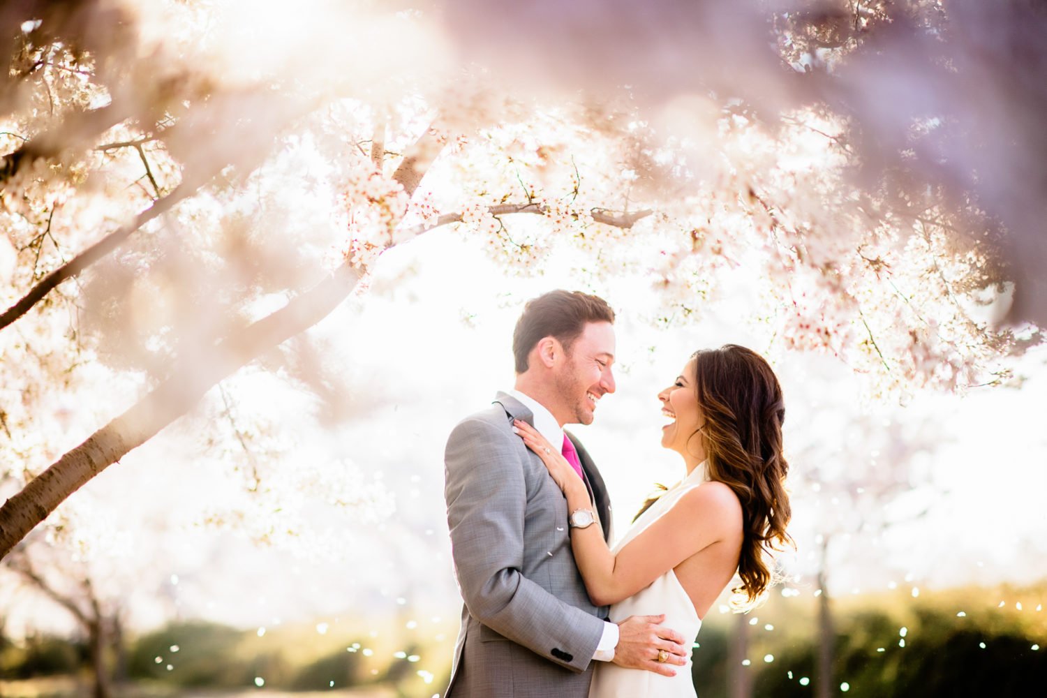 perfect cherry blossom engagement photo