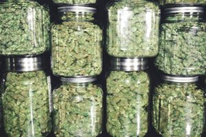 Five Objects People Are Buying to Get Marijuana in DC