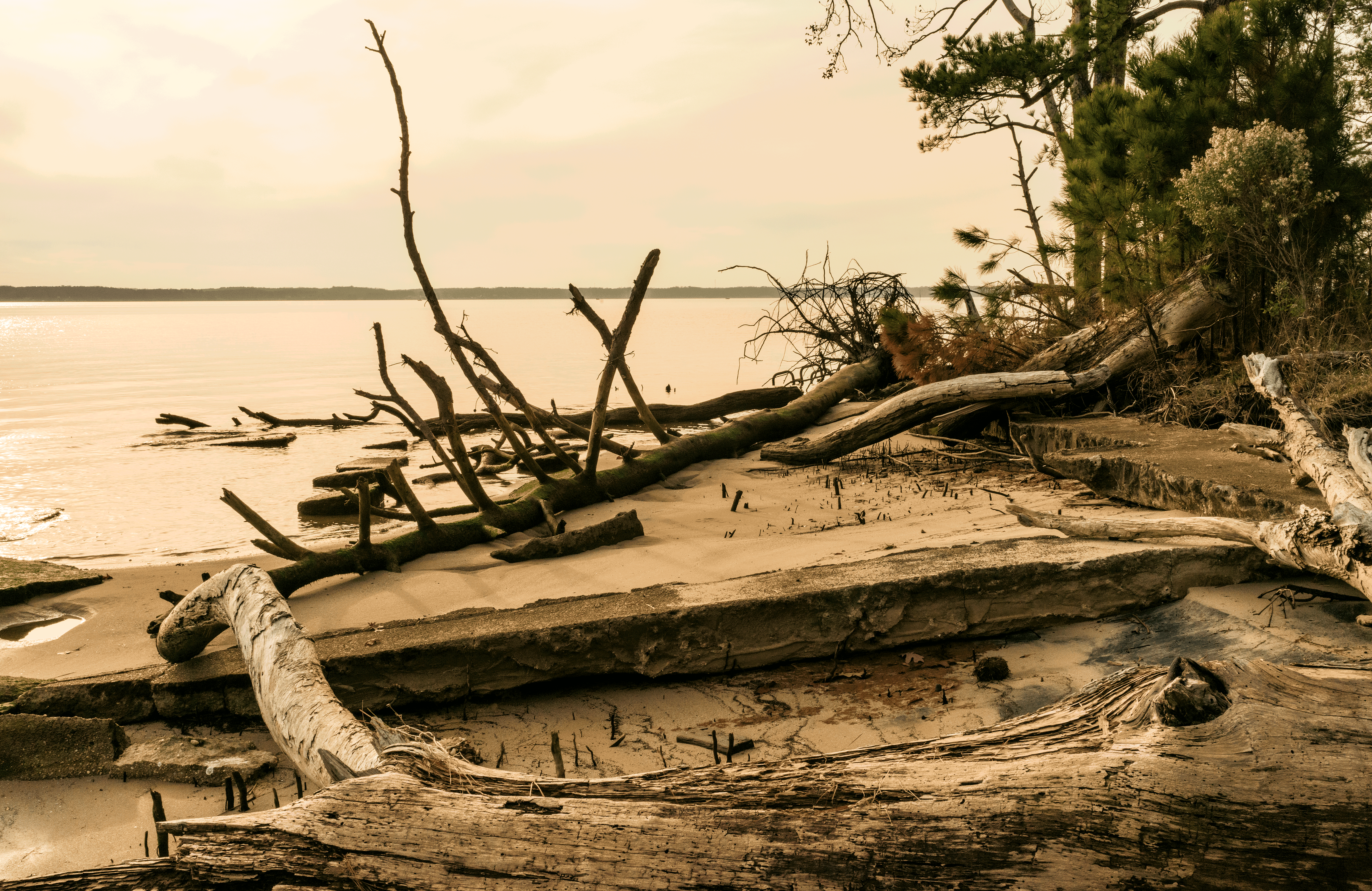 murder-rappahannock - Washingtonian