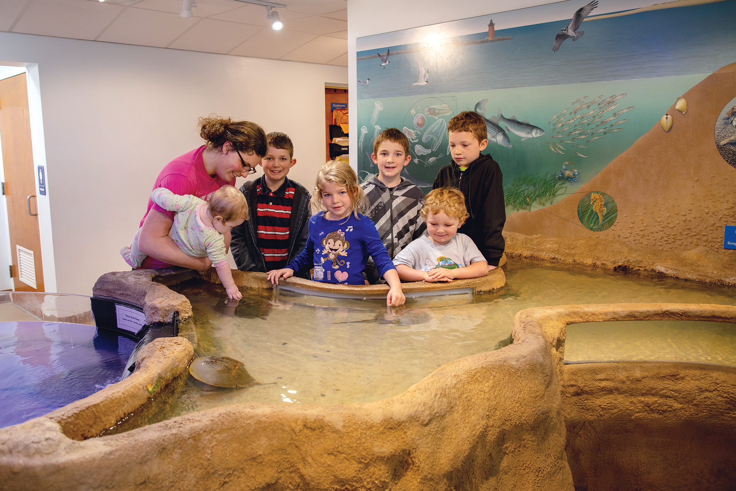 CHSP Nature Center Family 20190415_AAA-3527.QTR - Washingtonian Cape Henlopen State Park's nature center. Photograph by April Abel/Delaware State Parks.