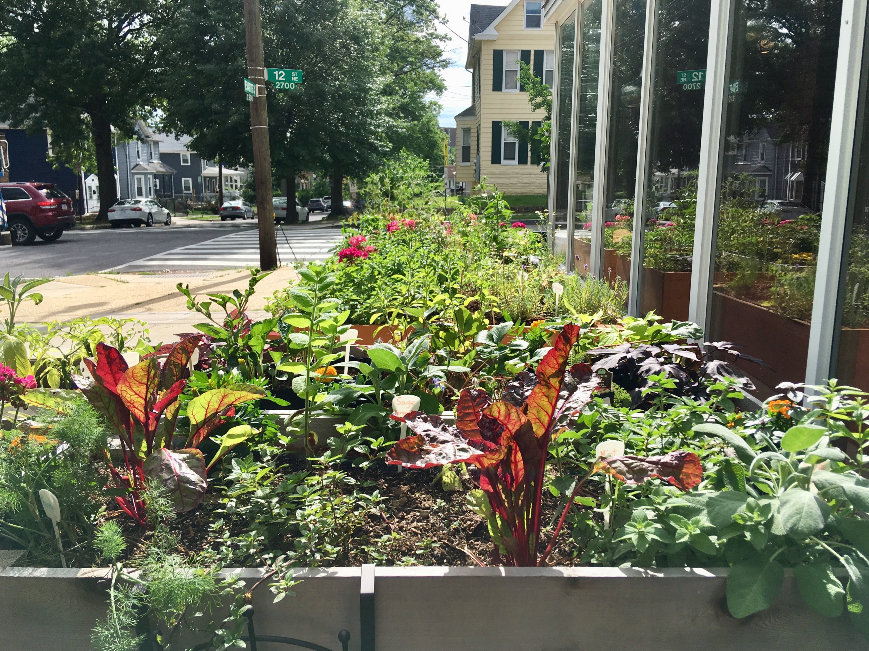 Herbs at Calabash Brookland - Washingtonian