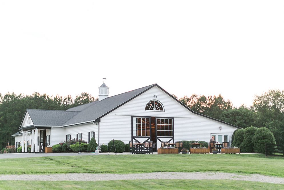 Kristen-and-Abner28-994x663 - Washingtonian Virginia-wedding-venues