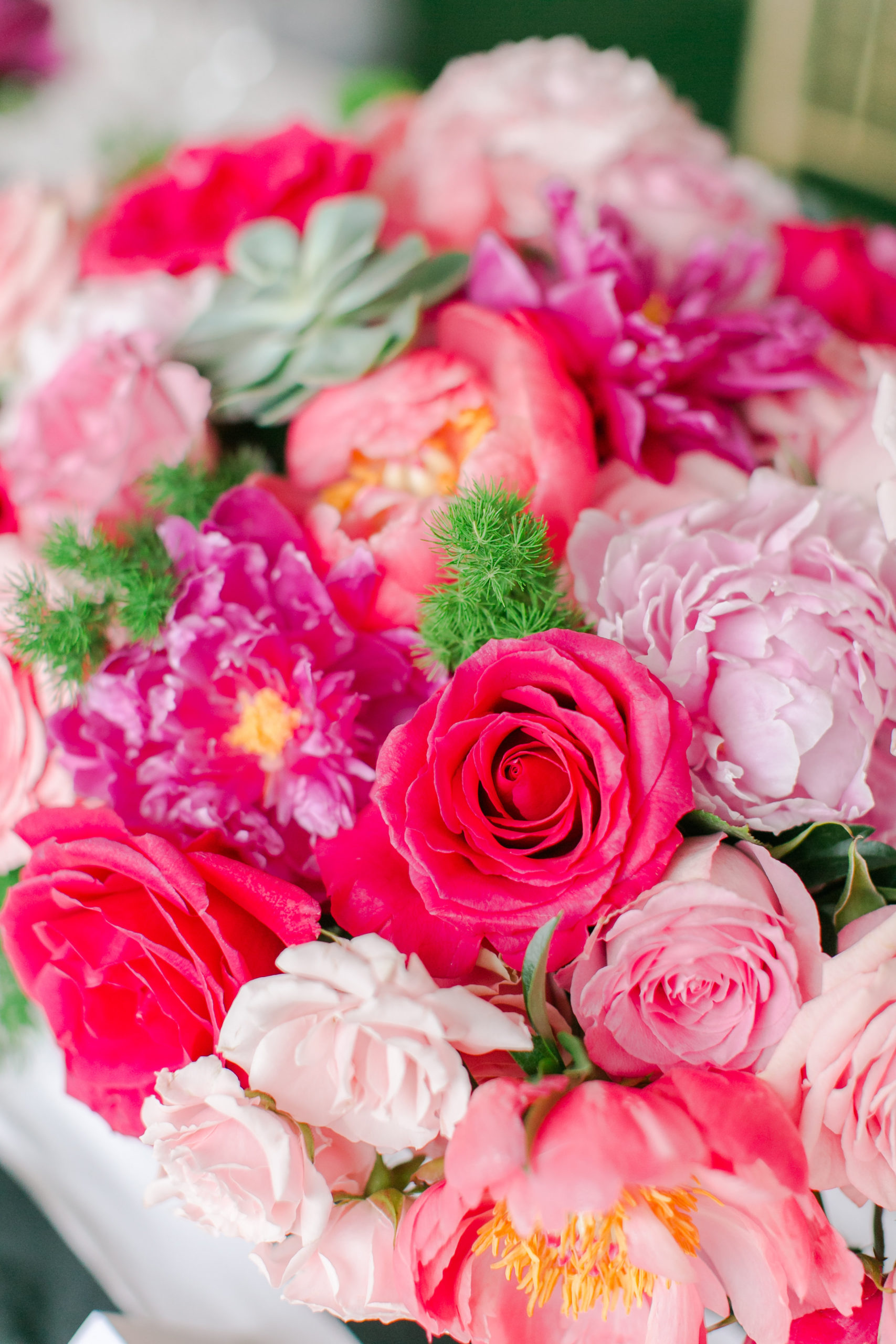 View More: https://kristimckeagphotography.pass.us/abbey-charlie-married View More: https://kristimckeagphotography.pass.us/abbey-charlie-married
