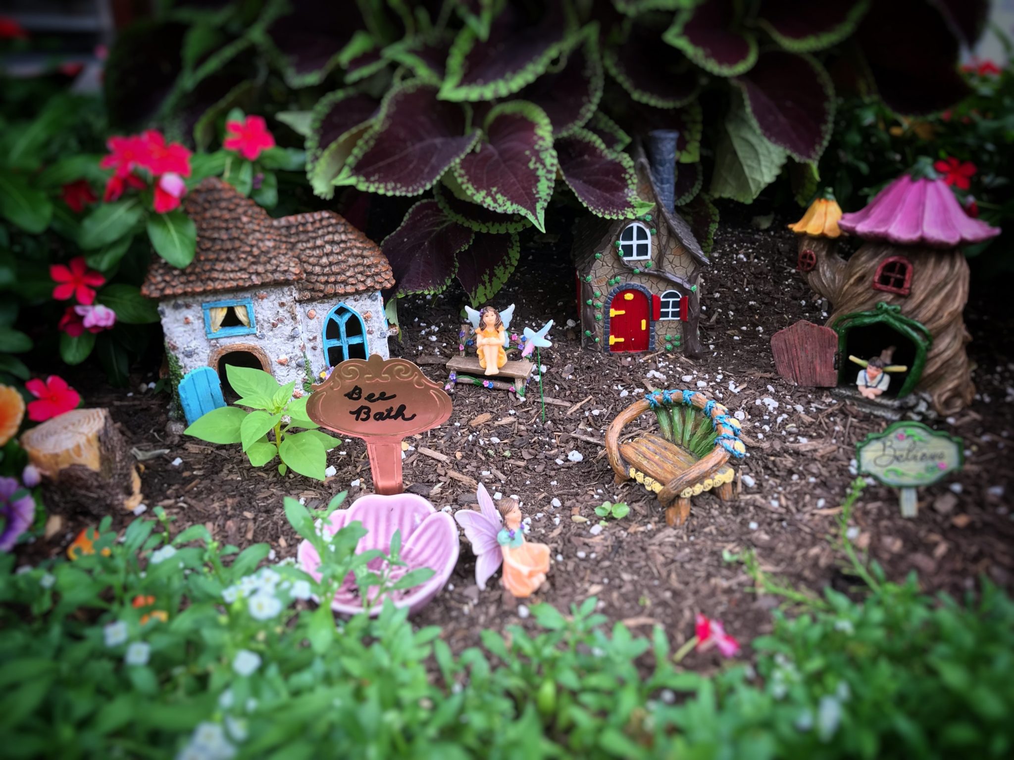 the story behind k street's magical fairy garden tree box