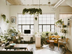 Look Inside My Home: These “Serial Renters” Outfitted Their Ivy City Apartment With Tons of Houseplants and a DIY Accent Wall